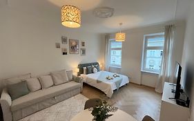 Luxurious One Room Apartment Near Schoenbrunn Palace