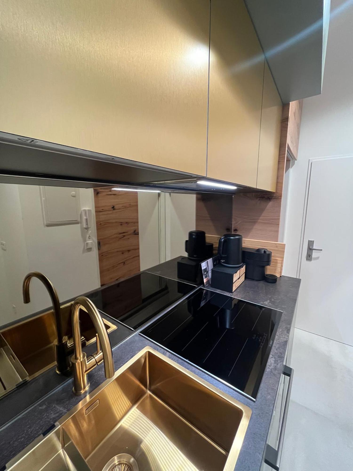 Luxurious One Room Apartment Near Schoenbrunn Palace Viyana Dış mekan fotoğraf
