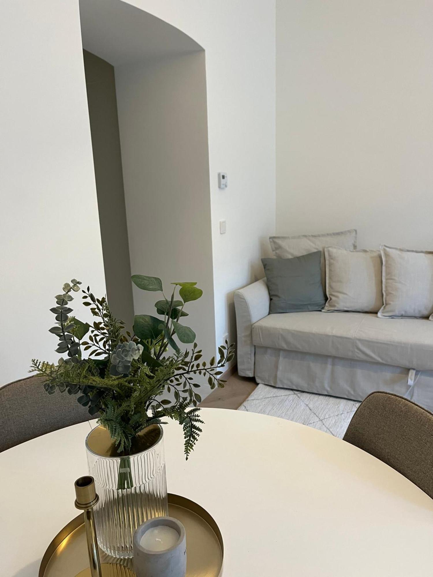 Luxurious One Room Apartment Near Schoenbrunn Palace Viyana Dış mekan fotoğraf